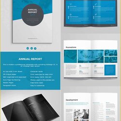 Eminent Free Annual Report Template Non Profit Of Nonprofit Templates Layouts Business Awesome Bold