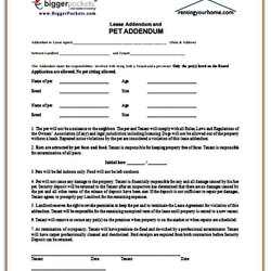 Matchless Sample Lease Addendum Form Agreement Tenant Rental Write Conditions