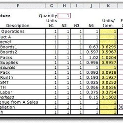 Fine Line Item Budget Template High Quality Operations Management