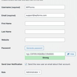 How To Create Temporary Admin User For Support Fill New Form
