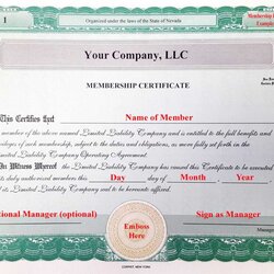 Magnificent Incredible Membership Certificate Template Ideas Free With Certificates