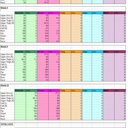 Wonderful Weight Tracker Spreadsheet Excel Template Sample Loss Track