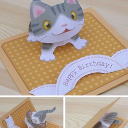 Splendid Kitten Card Free Template Pop Up Cards Chat Chats Greeting