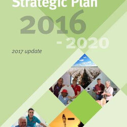 The Highest Quality Hospital Strategic Plan Examples Format Health Example Service Gov Au And
