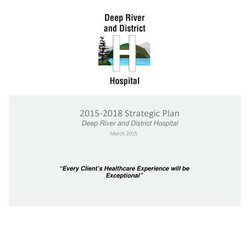 Champion Hospital Strategic Plan Template Samples Doc Width