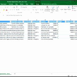 Perfect Excel Client Database Template Analyze Bookbinder Elegant Download Co Of