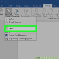 Super How To Create Labels In Microsoft Word With Pictures Step