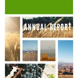 Splendid Free Report Templates Examples Annual Template Example Word Paper Cover Regarding Reports Nebraska