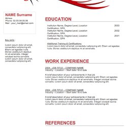 Wizard Sample Hair Stylist Resume Resumes Hairdresser Examples Hairstylist Job Templates Template