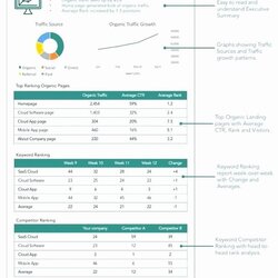 Peerless Social Media Reporting Template Unique Report