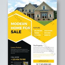 Exceptional Modern Real Estate Agent Flyer Poster Template Free Download