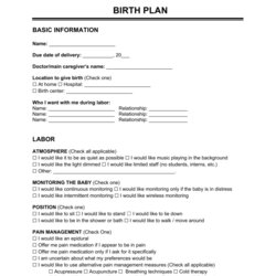 Magnificent Free Birth Plan Template Word