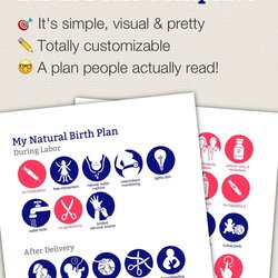 Champion The Birth Plan Is Displayed In Two Different Colors