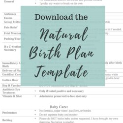 Superlative Free Birth Plan Template How To Create Natural That Rocks Baby Hospital