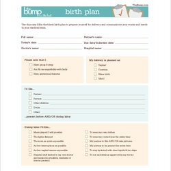 High Quality Free Birth Plan Samples In Ms Word Natural Example Templates