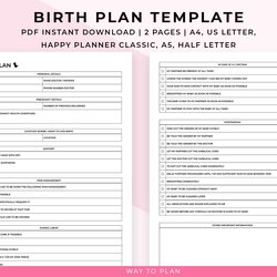 Exceptional Birth Plan Template Printable My Preferences Simple