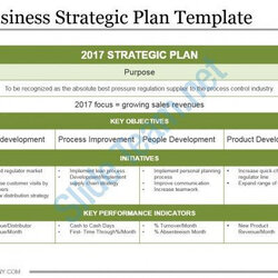 Superior Non Profit Strategic Plan Template Planning Business Related Posts For Organizations Of