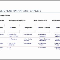 Marvelous Non Profit Strategic Plan Template Planning Proposal Awesome Of