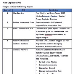 Out Of This World Non Profit Strategic Plan Template Room Surf Blank