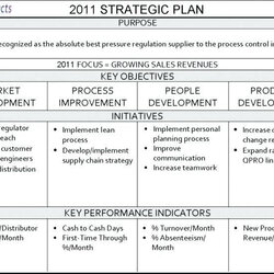 Superb Non Profit Strategic Plan Template For Nonprofits Free Large Size Of