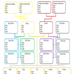 Superior Family Tree Template Printable Forms Excel Templates Word Blended Spreadsheet Chart Genealogy